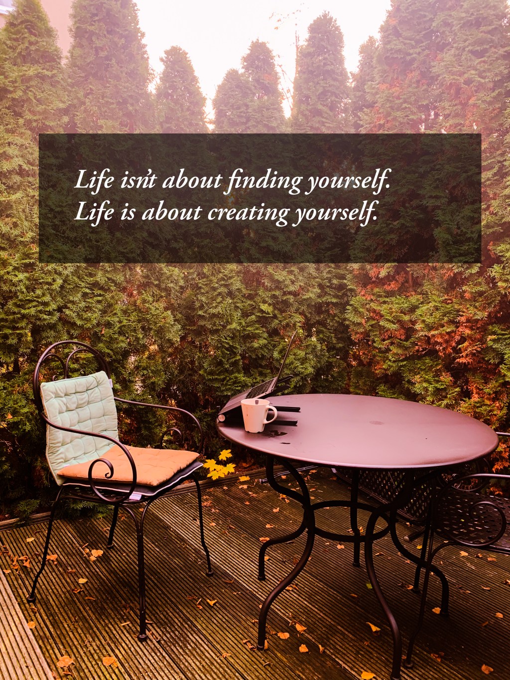 Amidst the pine&nbsp;trees..